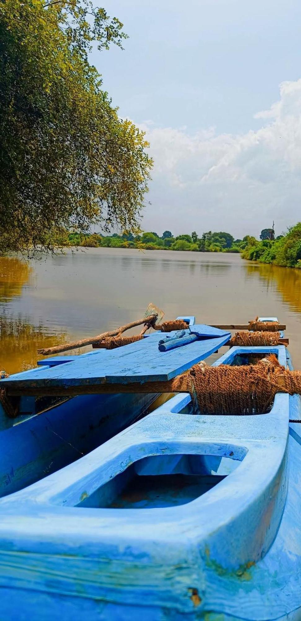 Priya Homestay Kandalama Дамбулла Екстер'єр фото